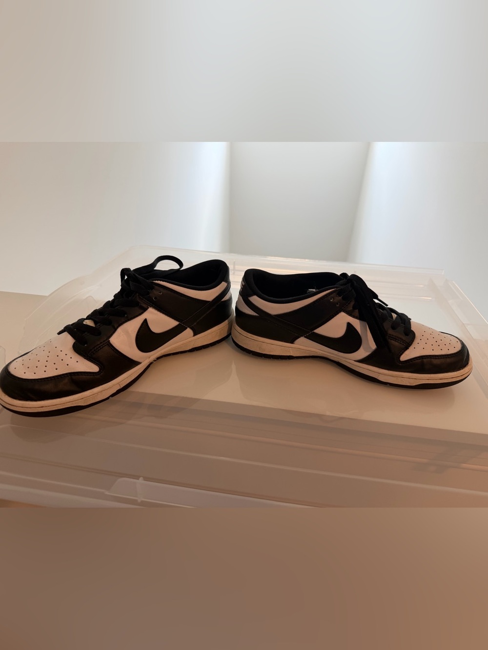 Nike Black and White Low Top Sneakers